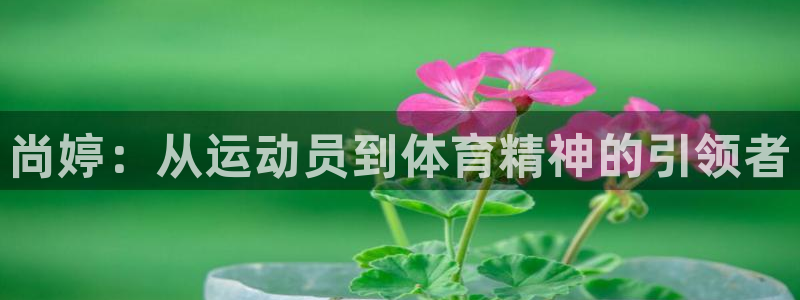 意昂34开户