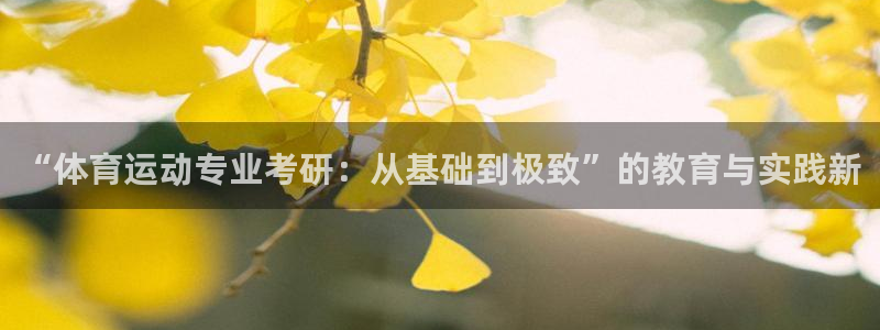 意昂3体育和杏耀是哪个公司的