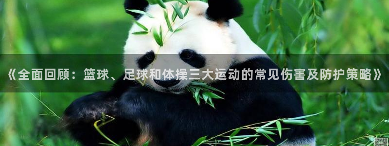 意昂34注册