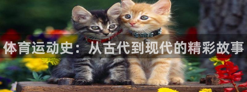 德国意昂集团