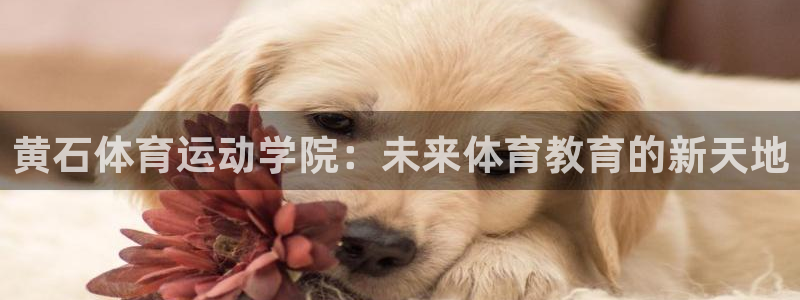 意昂3代理