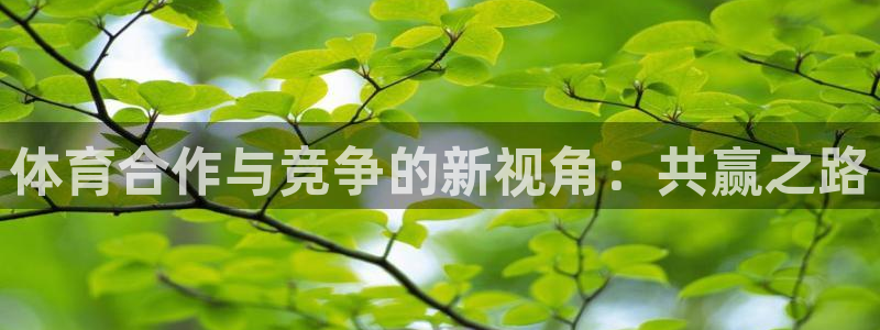 意昂3体育4