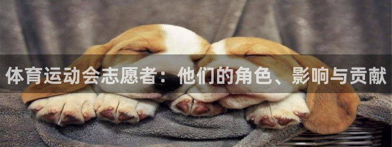 德国意昂集团