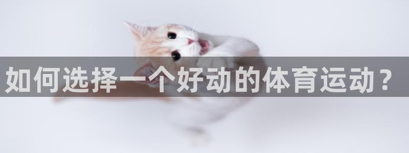 意昂体育注册代理