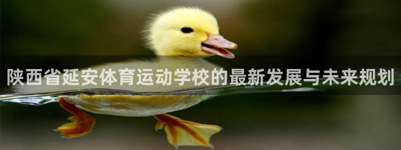 意昂平台招商