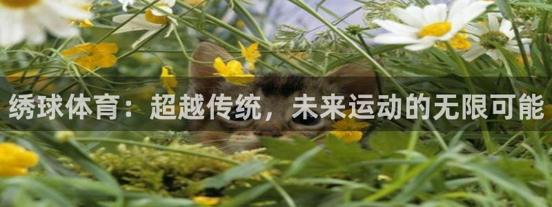 意昂3体育注册