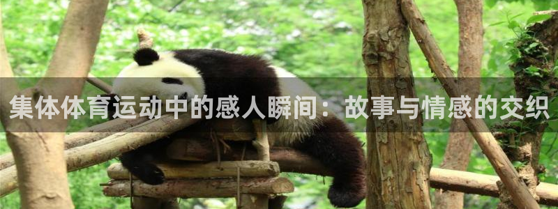 意昂扬是什么意思
