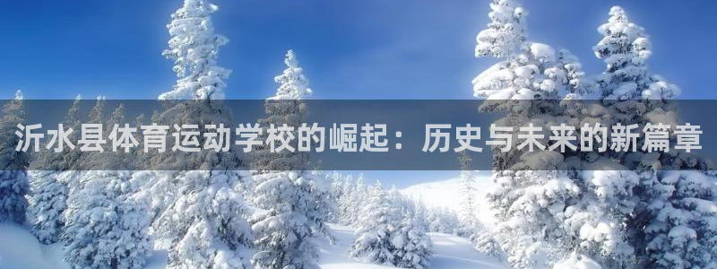 意昂官网注册