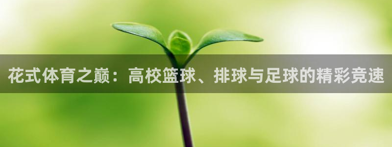 意昂3凯捷平台