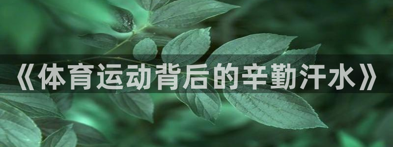 意昂3代理注册